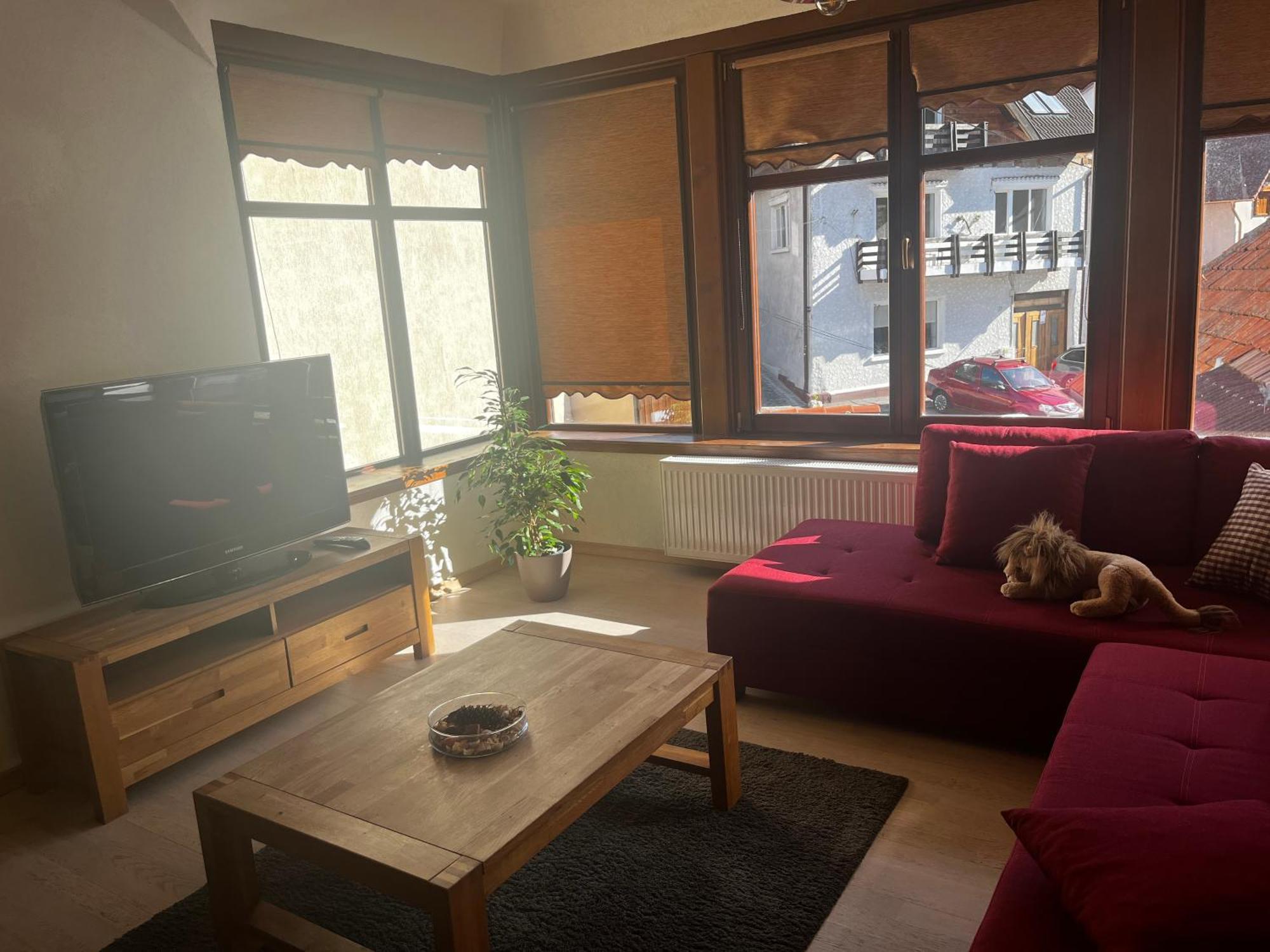 Cozy Apartment Брашов Экстерьер фото